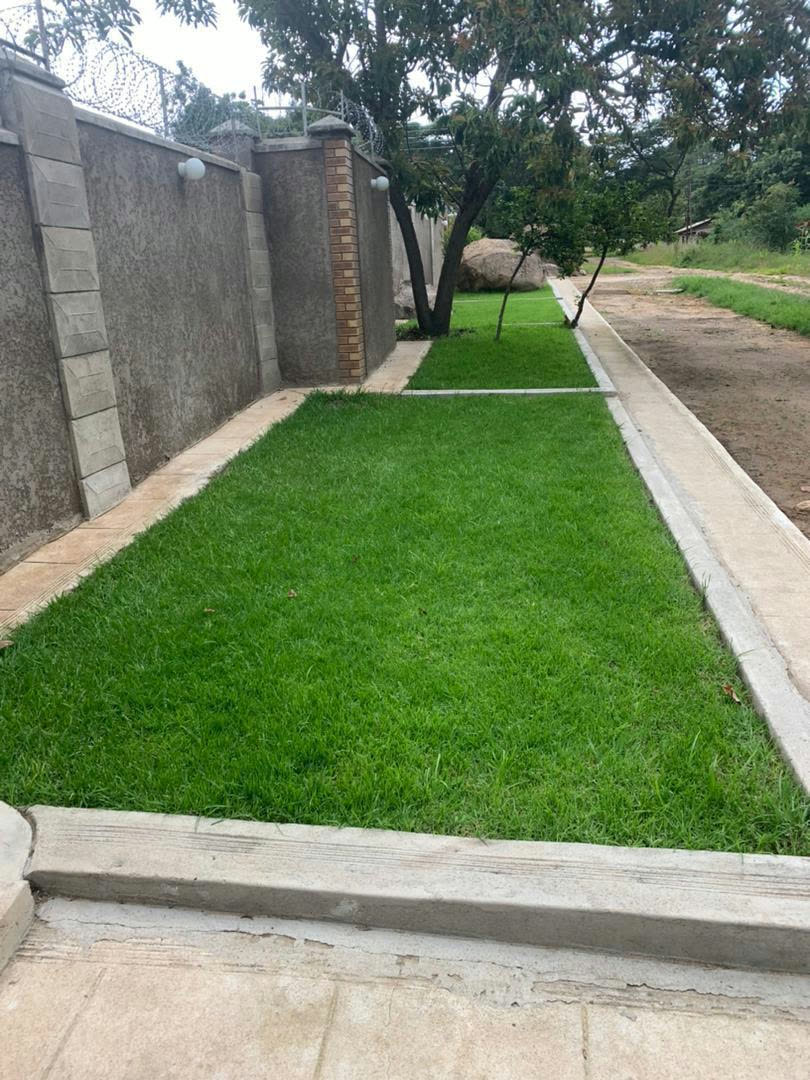Instant lawn and garden edging