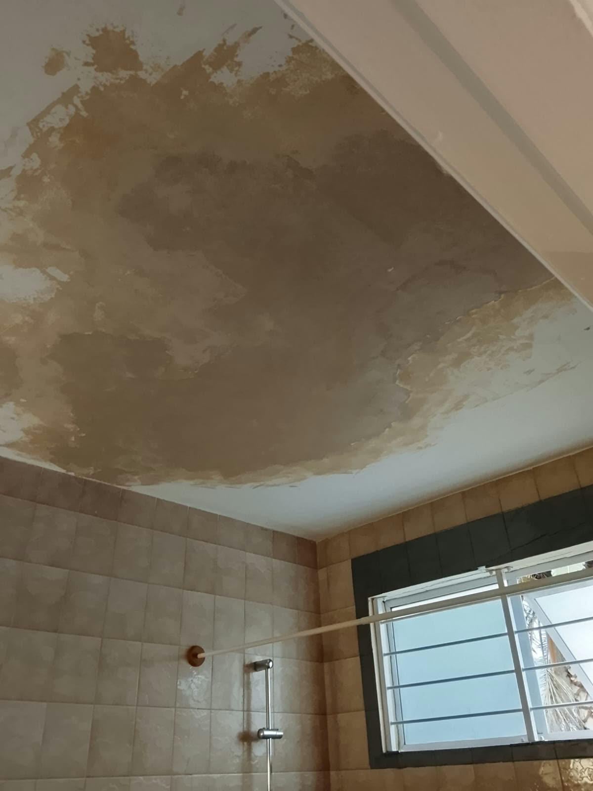 Water-damaged bathroom ceiling before repair